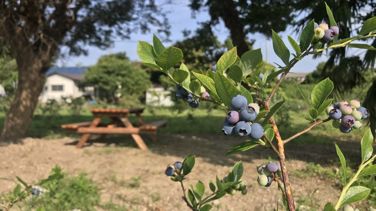 バーベキューコーナーを開設いたしました★の写真